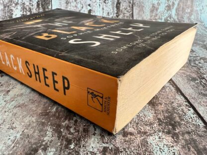 An image of a novel by Sophie McKenzie - The Black Sheep