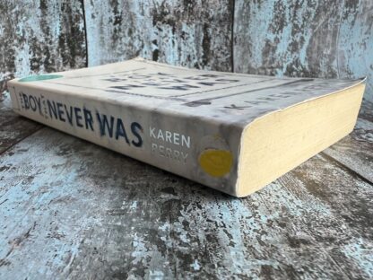 An image of a book by Karen Perry - The Boy that Never Was