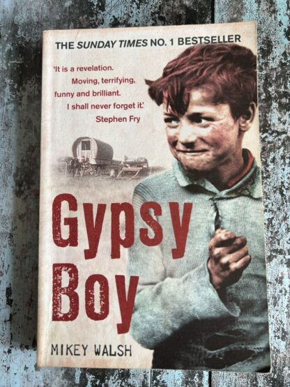 An image of a book by Mikey Walsh - Gypsy Boy