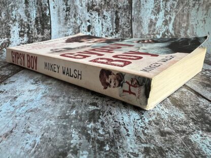 An image of a book by Mikey Walsh - Gypsy Boy