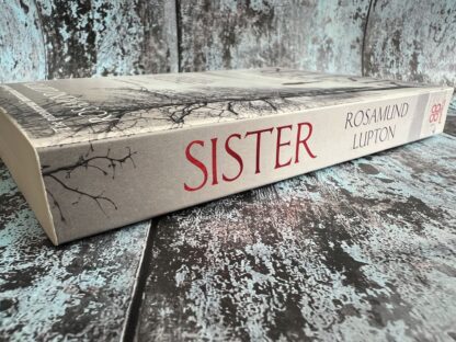 An image of a book by Rosamund Lupton - Sister