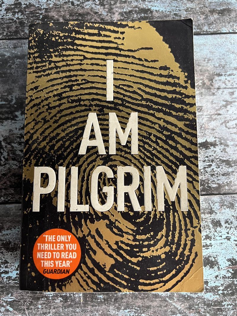 book reviews i am pilgrim