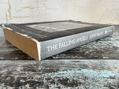 An image of a book by John Walsh - The Falling Angels