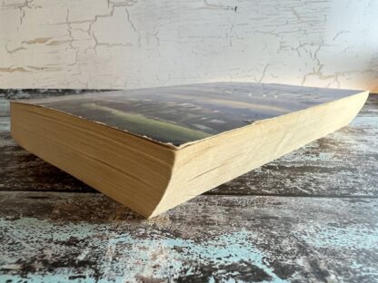 An image of a book by Deborah Moggach - Seesaw