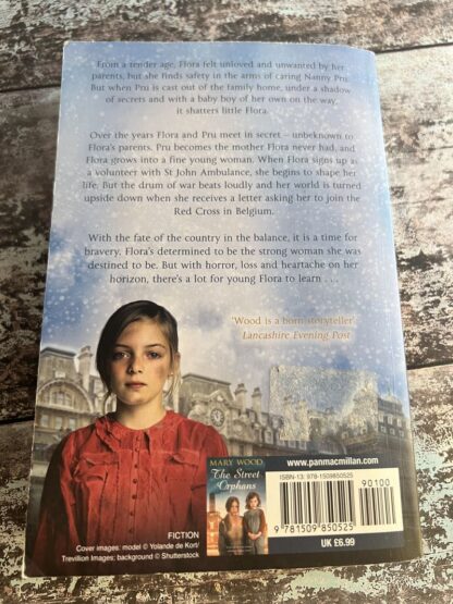 An image of a book by Mary Wood - The Forgotten Daughter