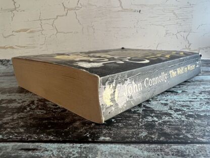 An image of a book by John Connolly - The Wolf in Winter