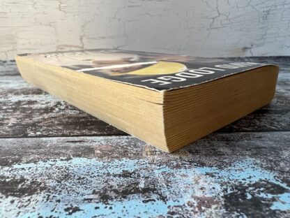 An image of a book by David Lodge - Nice Work