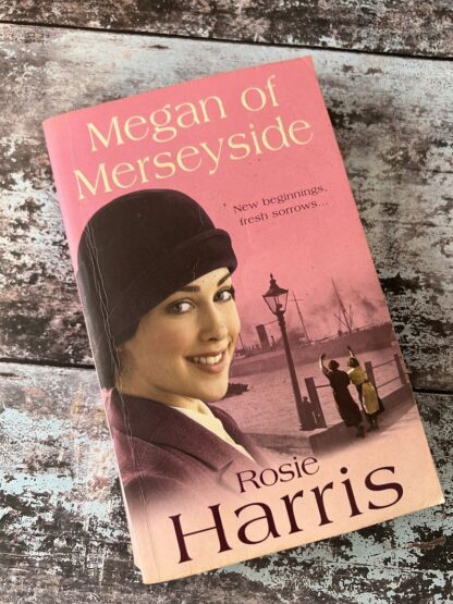 An image of a book by Rosie Harris - Megan of Merseyside