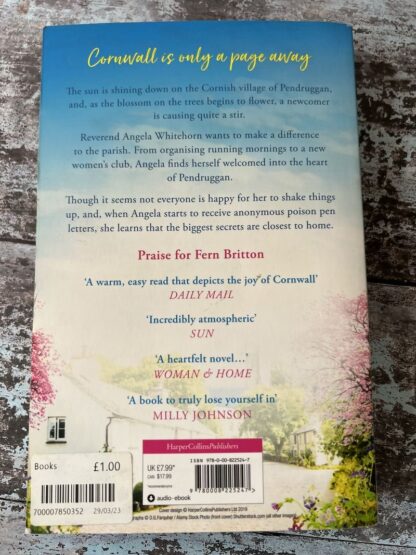 An image of a book by Fern Britton - The Newcomer