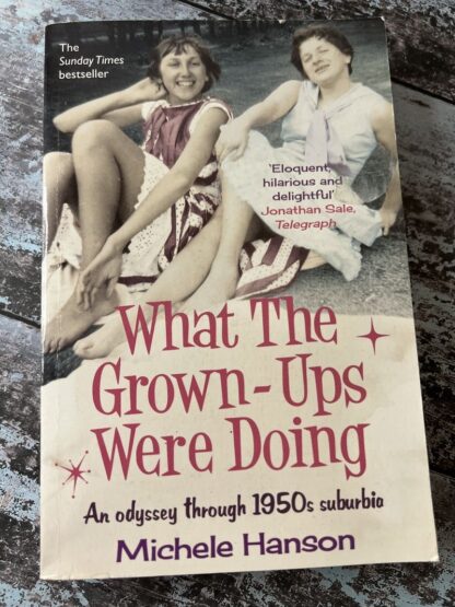 An image of a book by Michele Hanson - What the grown ups were doing