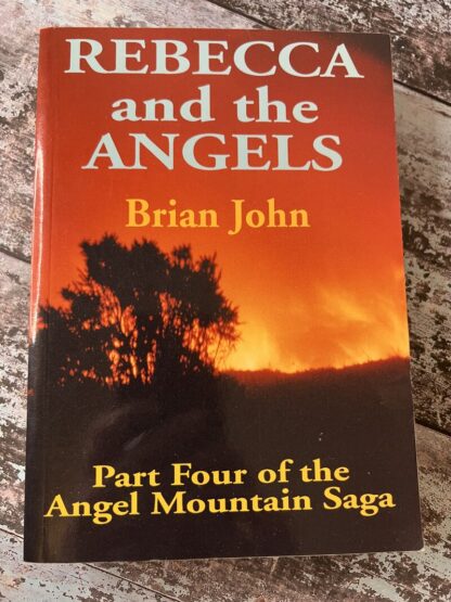 An image of a book by Brian John - Rebecca and the Angels