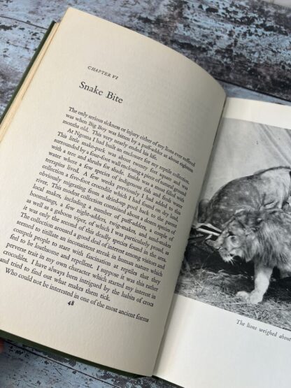 A image of the book Return to the Wild by Norman Carr