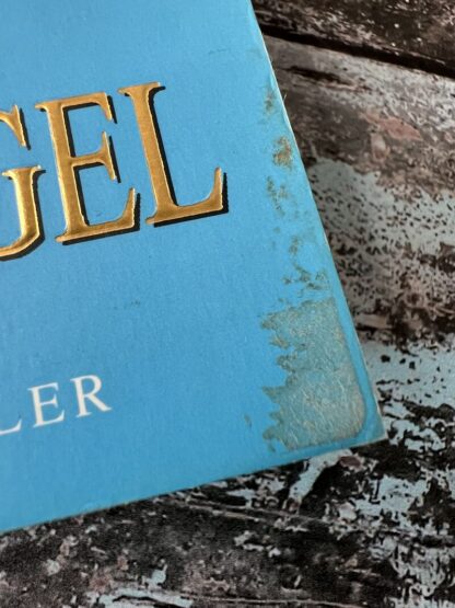 An image of the book Johnny Angel by Danielle Steel