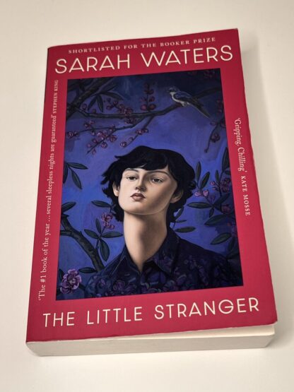 An image of the book The Little Stranger by Sarah Waters