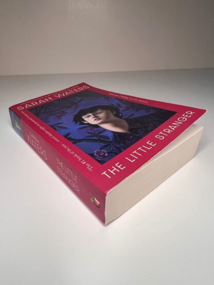 An image of the book The Little Stranger by Sarah Waters